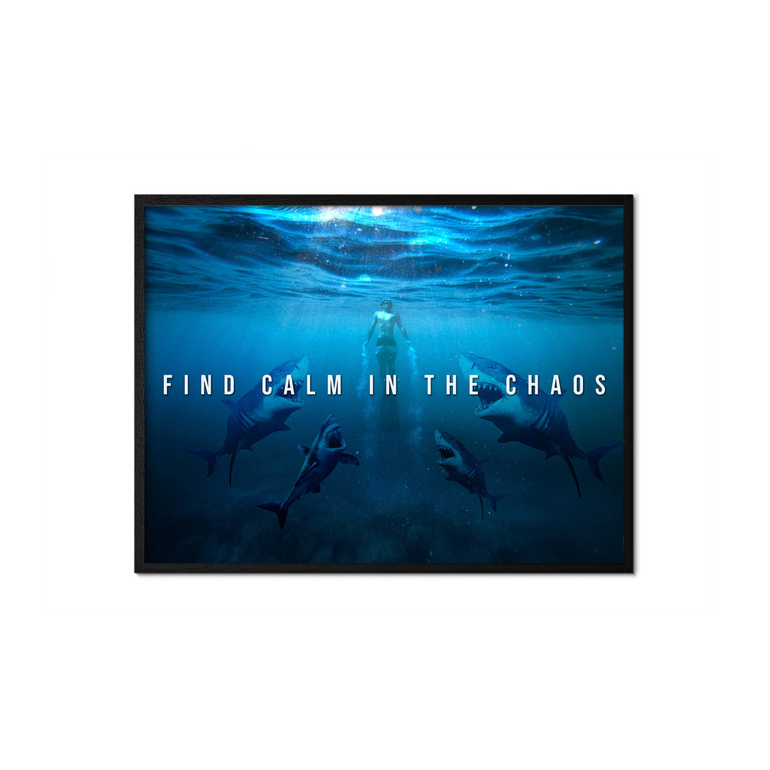 FIND CALM IN THE CHAOS